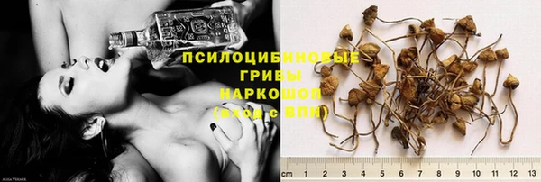 герыч Коряжма