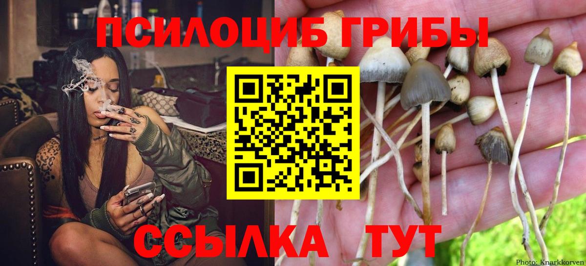 Галлюциногенные грибы ЛСД Переславль-Залесский