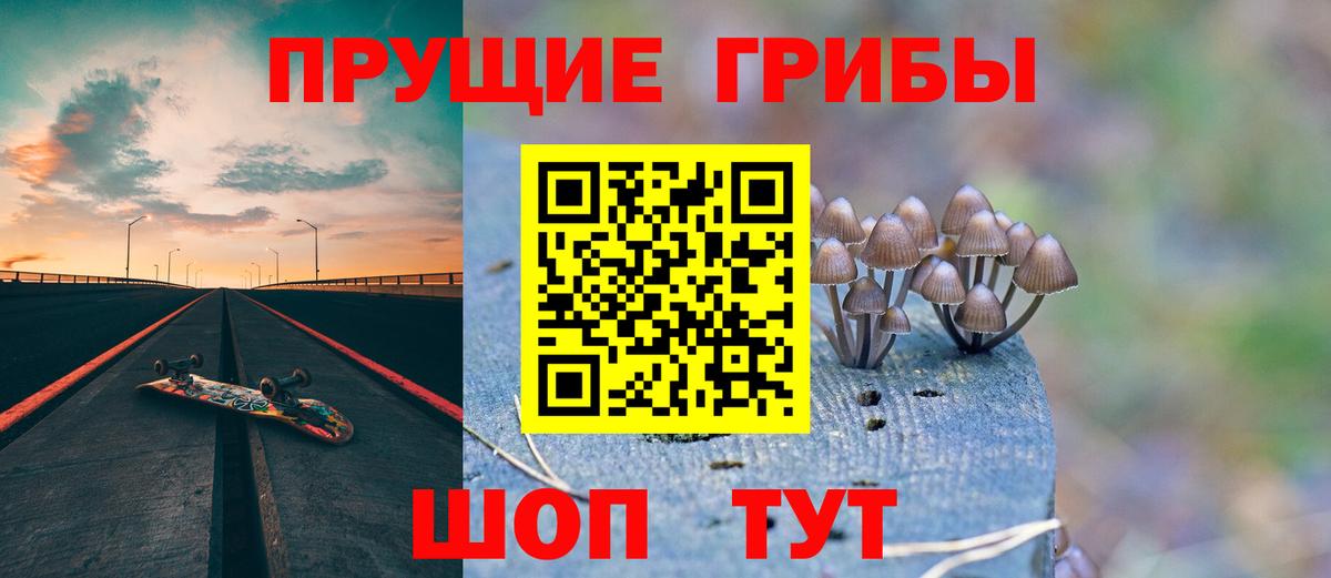 где найти   Вход с VPN  Переславль-Залесский  Галлюциногенные грибы ЛСД 